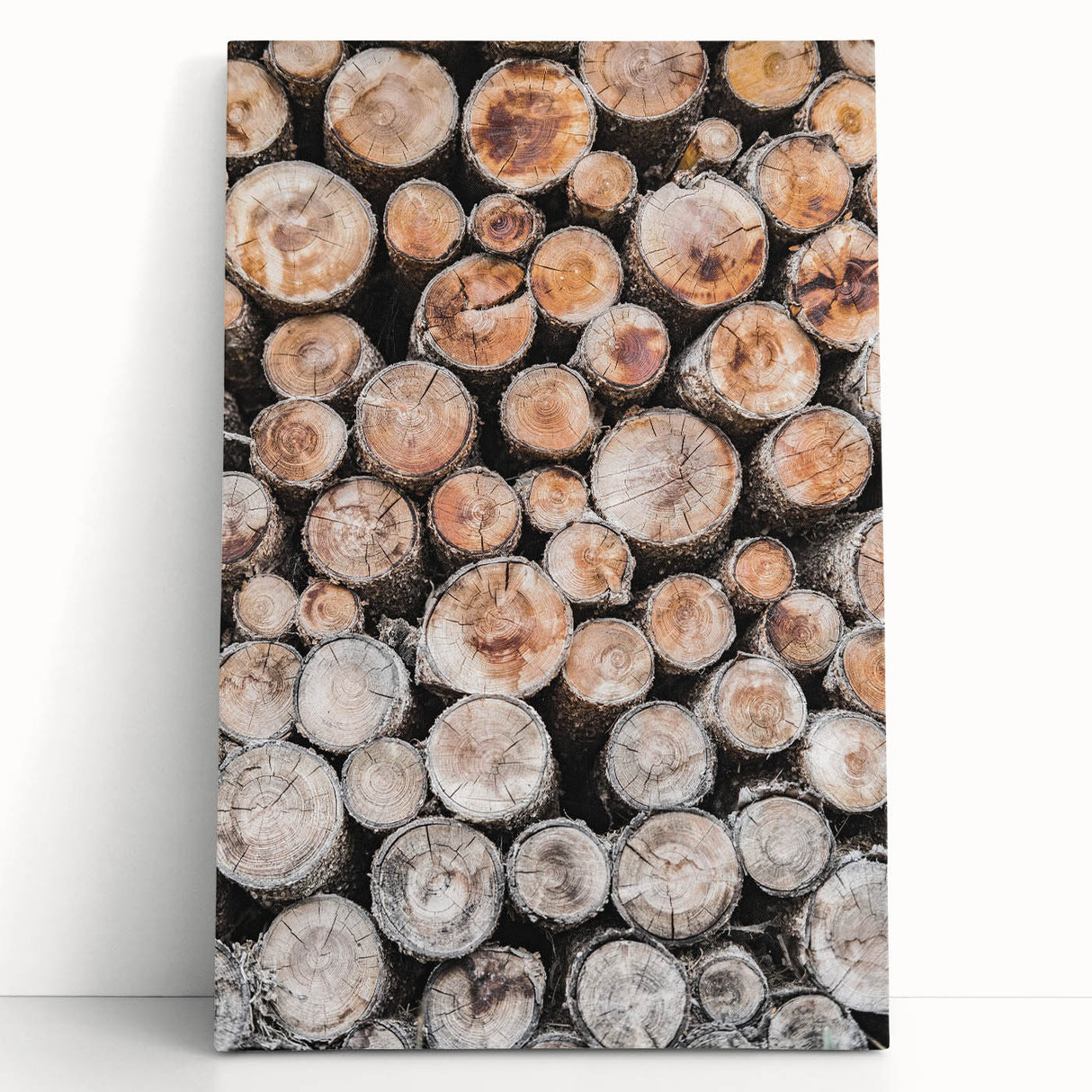Winter scene in black and white on a large stretched canvas, ideal for kitchen wall art or bedroom decor.