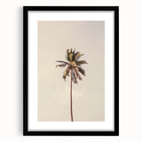 Extra large abstract art print featuring vibrant, colorful textured patterns on a black framed canvas.