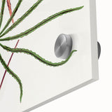 Romanticism Art: "Aralia Veitchii Leaf" by Alexander Lydon