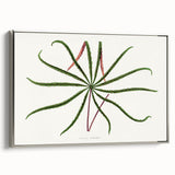 Romanticism Art: "Aralia Veitchii Leaf" by Alexander Lydon