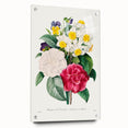 Neoclassical Camellia Narcissus Pansy Print - Floral Art by Redouté