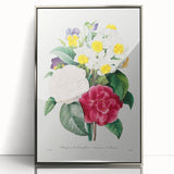 Neoclassical Camellia Narcissus Pansy Print - Floral Art by Redouté
