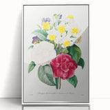Neoclassical Camellia Narcissus Pansy Print - Floral Art by Redouté