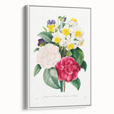 Neoclassical Camellia Narcissus Pansy Print - Floral Art by Redouté