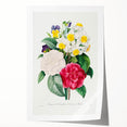 Neoclassical Camellia Narcissus Pansy Print - Floral Art by Redouté