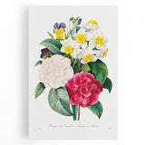 Neoclassical Camellia Narcissus Pansy Print - Floral Art by Redouté
