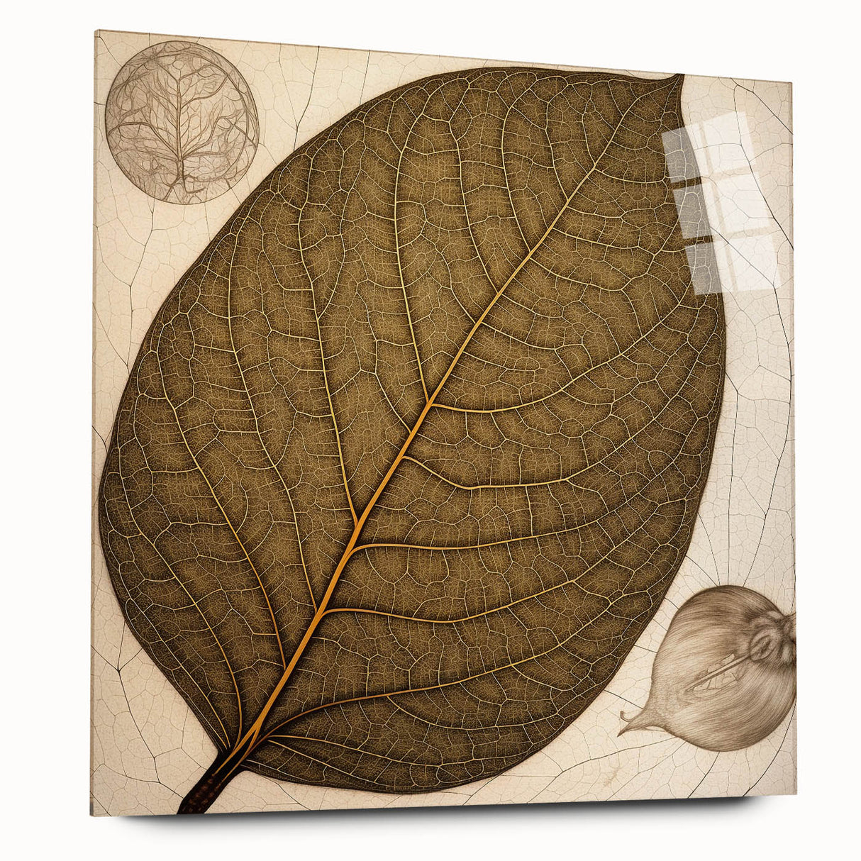 Side view of vibrant acrylic wall art showcasing an intricate design of flowers and botanical leaves, elegantly displayed without pins, perfect for modern home decor.