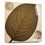 Side view of vibrant acrylic wall art showcasing an intricate design of flowers and botanical leaves, elegantly displayed without pins, perfect for modern home decor.