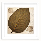 Floral wall art featuring a vibrant design of flowers and botanical leaves, elegantly framed with a white mat, perfect for enhancing home decor.