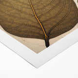 Rolled canvas displaying a vibrant floral and botanical wall art design, featuring intricate flowers and leaves in rich colors, ideal for home decor.