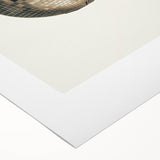 Golden Disco Ball Celebration - New Year's Eve Wall Art Print