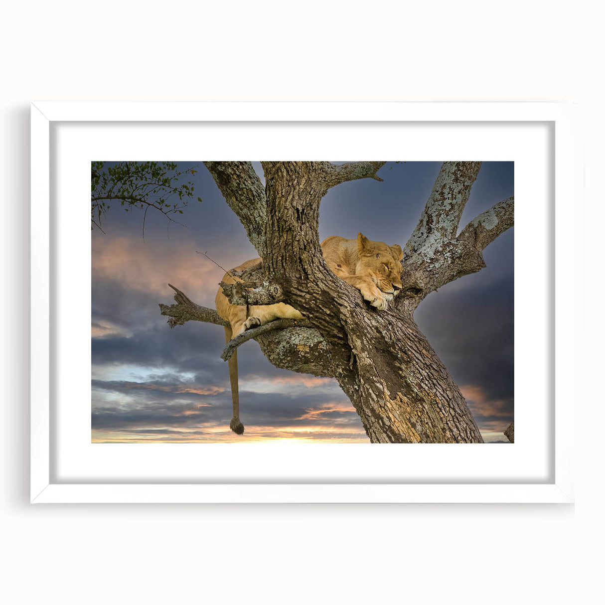 Extra large abstract art print depicting Kenyan scenery in textured earth tones, framed with a white mat.