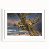 Extra large abstract art print depicting Kenyan scenery in textured earth tones, framed with a white mat.