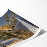 Extra large wall art featuring a minimalist line art of flowers in black on a white background.