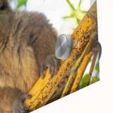 Large abstract wall art depicting the Madagascar scenery in muted earth tones, on acrylic glass.