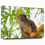 Acrylic print of a large abstract Madagascar landscape in earthy tones, ideal for bedroom or dining room wall art.