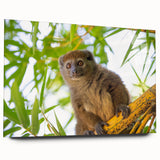 Large abstract wall art of Madagascar scenery in vibrant earth tones on acrylic glass.