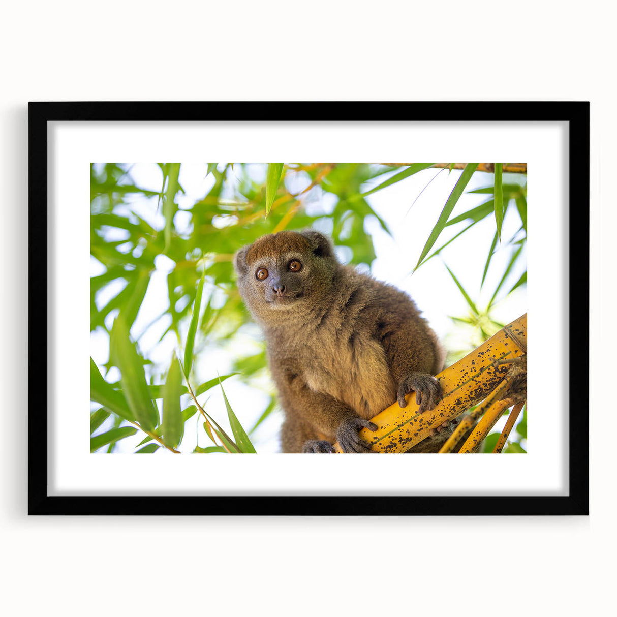 Extra large abstract art print of a colorful, textured Madagascar scenery on a black framed canvas.