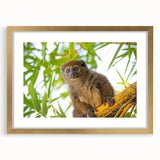 Textured abstract art print depicting a Madagascar landscape in earthy tones on a framed canvas, ideal for bedroom art.