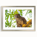 Abstract art print of Madagascar scenery in muted earth tones, framed with a silver mat.