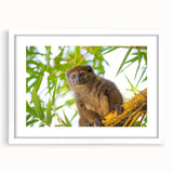 Extra large wall art featuring an abstract depiction of Madagascar scenery in textured earth tones on a white framed canvas.