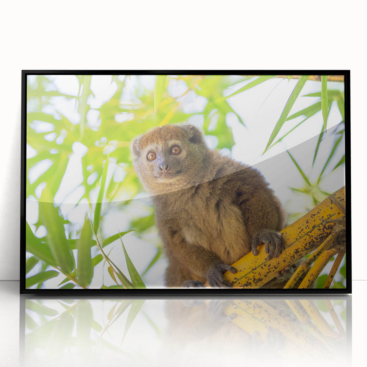 Large abstract wall art depicting a Madagascar scenery in black and white tones on a framed acrylic.