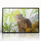 Large abstract wall art depicting a Madagascar scenery in black and white tones on a framed acrylic.