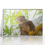 Large art print of a Madagascar landscape in muted earth tones on white framed acrylic, ideal for modern art wall decor.