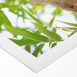 Art deco poster featuring a vibrant Madagascar landscape on rolled canvas, ideal for dining room decor.