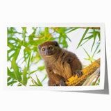 Extra large rolled print of Madagascar scenery with lush greens and vibrant floral elements.