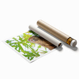 Extra large rolled print of Madagascar scenery with vibrant green and earth tones.