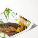 Extra large wall art featuring line art flowers in muted earth tones on a rolled canvas.