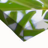 Large art of a Madagascar landscape in black and white on stretched canvas, ideal for bedroom wall decor.