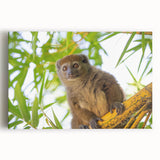 Black and white photograph of Madagascar scenery on large stretched canvas, ideal for kitchen wall art.