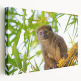 Large art depicting a Madagascar landscape on stretched canvas, with earthy tones, ideal for kitchen wall art.