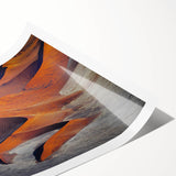 Extra large wall art featuring line art flowers in muted earth tones on a rolled print, suitable for large living room decor.