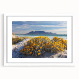 Abstract art print depicting a South African landscape in muted earth tones on a white framed canvas.