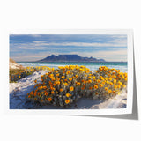 Extra large rolled print of a South African landscape with vibrant green hues and floral elements.