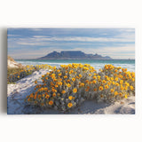 Large black and white stretched canvas featuring an African savannah scene, suitable for kitchen wall art.