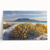 Large black and white stretched canvas featuring a South African landscape, ideal for kitchen wall art or bedroom decor.