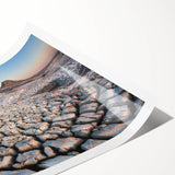 Extra large wall art featuring line art flowers in black on white, rolled print, suited for large living room decor.