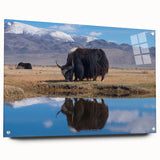 Acrylic print of a Tibetan landscape in muted earth tones, ideal for dining room decor.