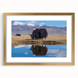 Extra large abstract art print of Tibetan landscape in textured gold frame, ideal for living room decor.