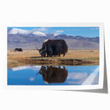 Rolled print of a Tibetan landscape in muted earth tones, ideal for art wall dining room.