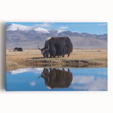 Black and white photo of Tibet scenery on stretched canvas, well-suited for kitchen wall art.