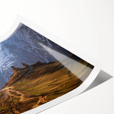 Extra large rolled print featuring line art flowers in muted earth tones, ideal for large living room wall art.