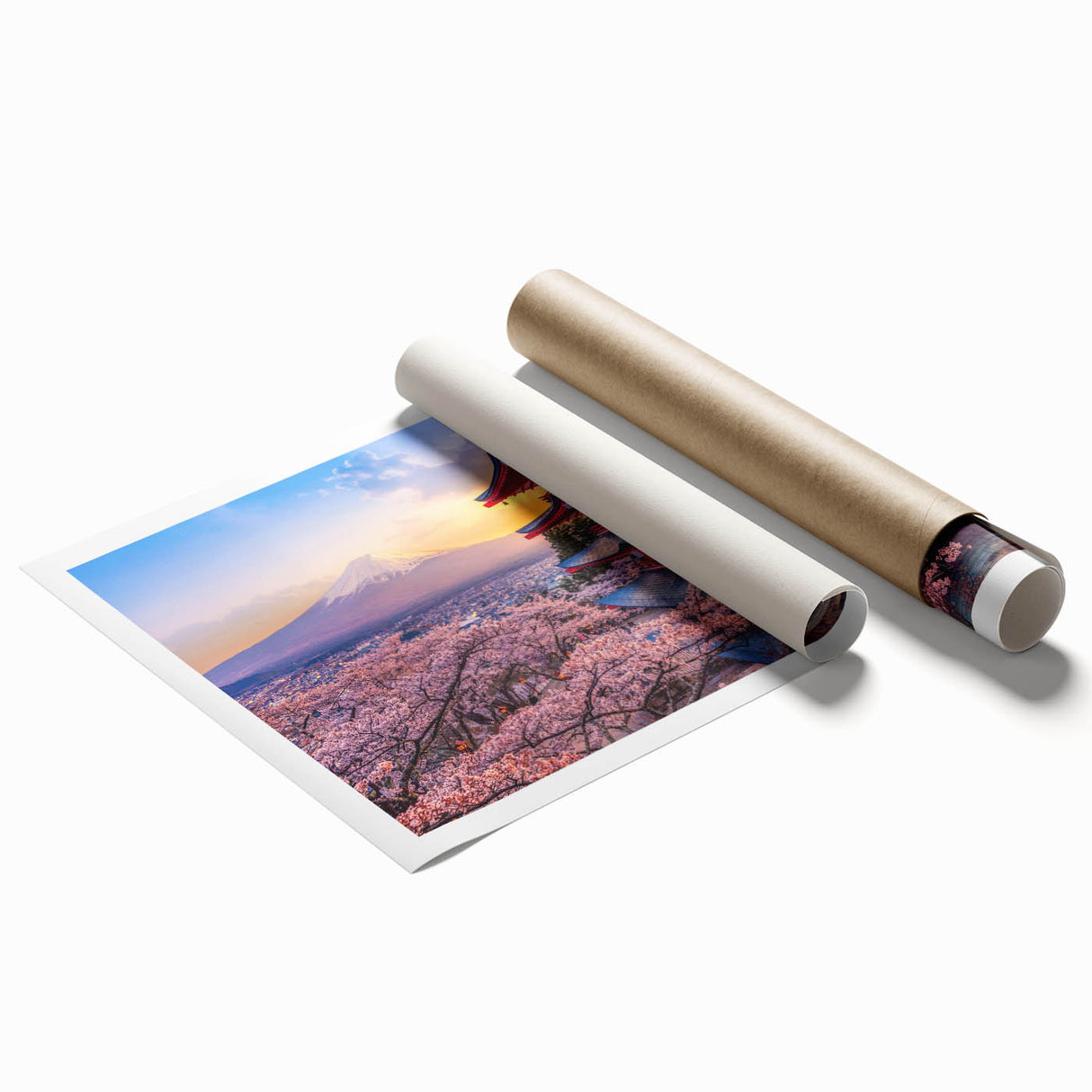 Extra large rolled print depicting Mount Fuji with pink cherry blossoms in the foreground.