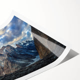 Extra large wall art featuring line art flowers in soft pastel shades on a rolled print, ideal for large living room decor.