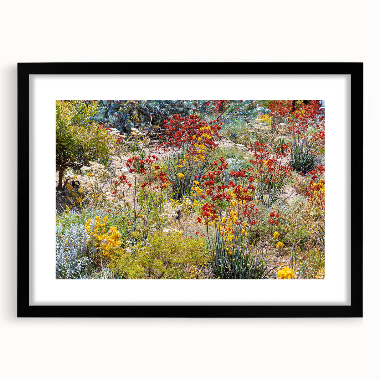 Extra large abstract art print depicting a colorful, textured scene of Perth, Australia on a black framed canvas.