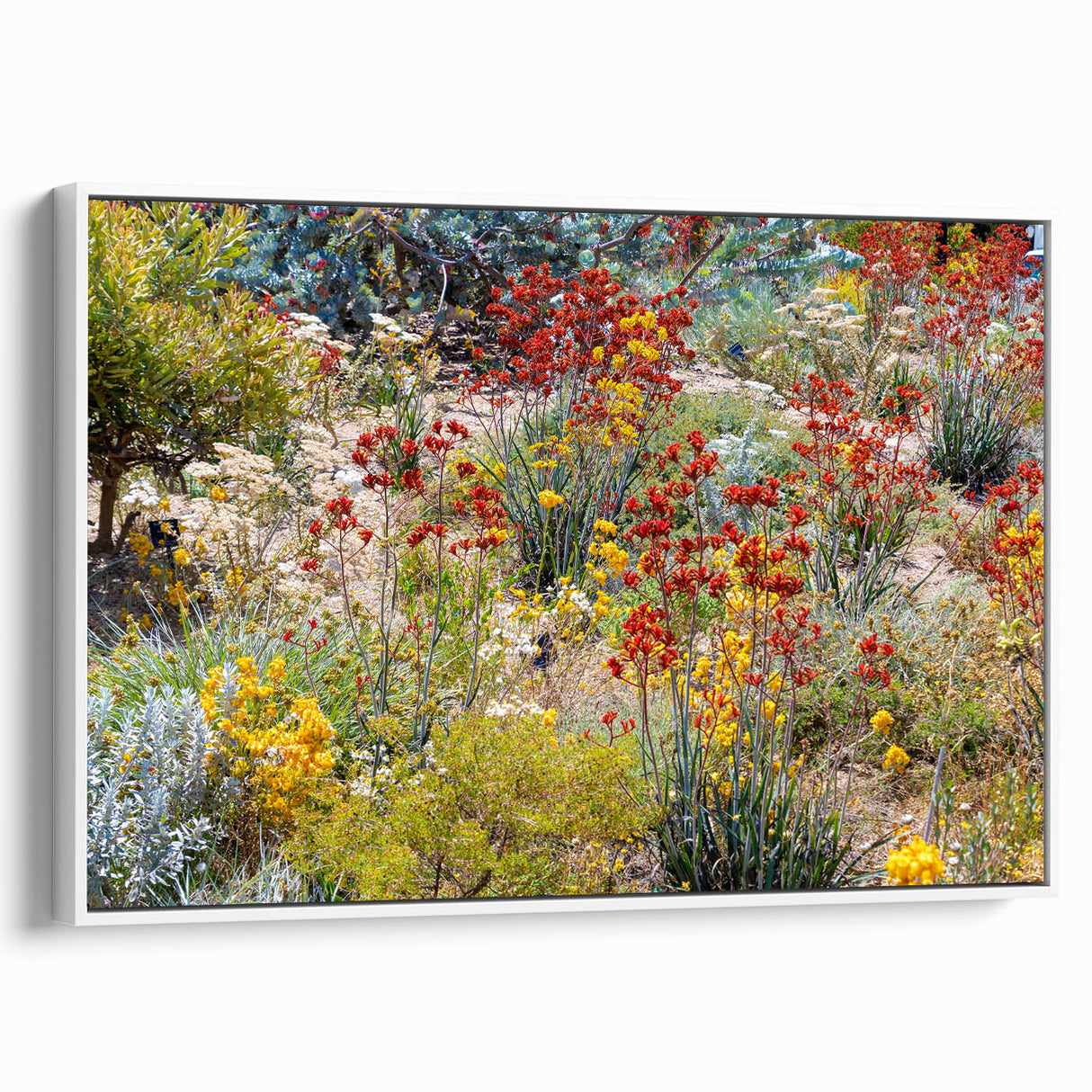 Framed canvas of Perth landscape in vintage poster style with muted earth tones, ideal for bedroom wall decor.